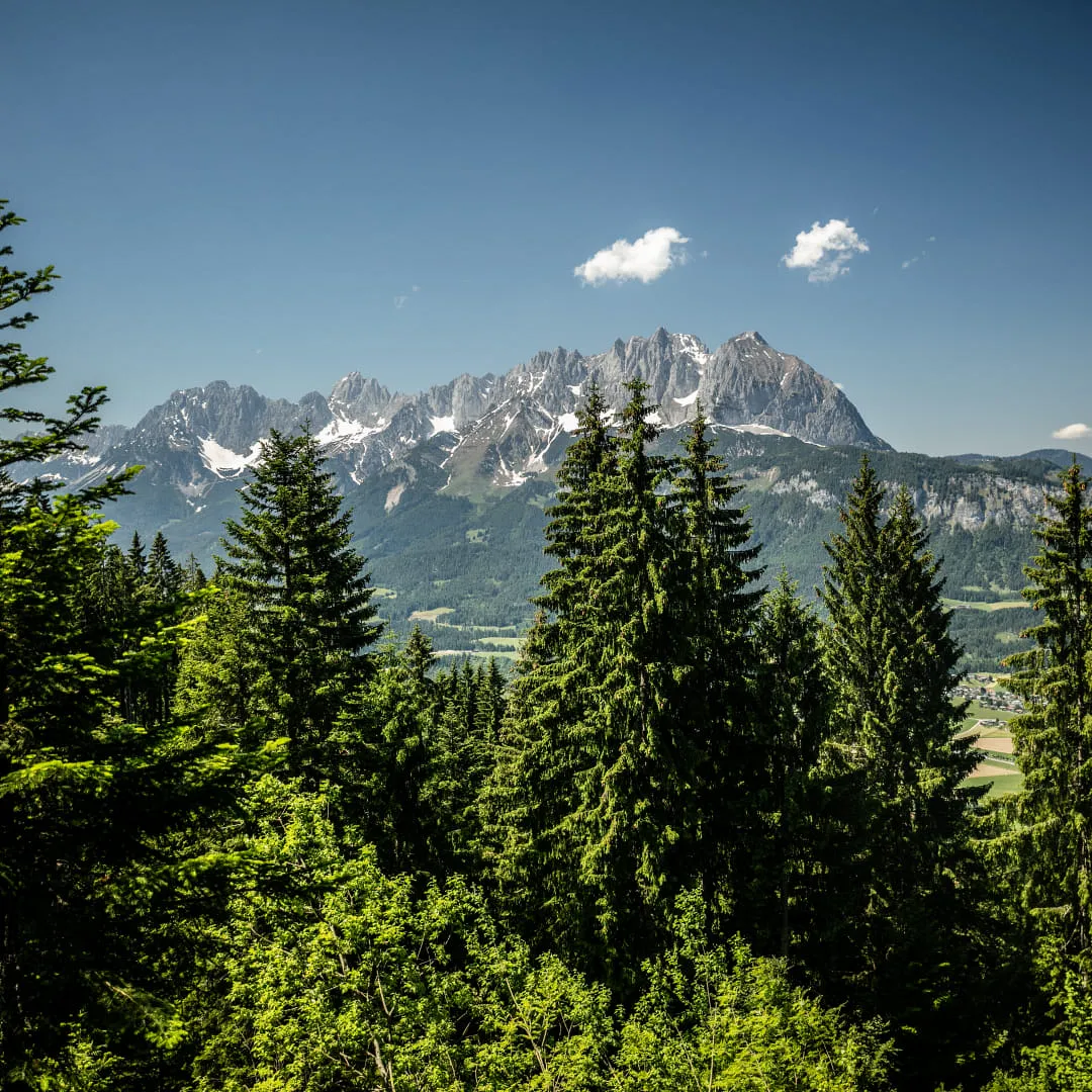 Hochgebirgslandschaft mit Wäldern und Bergen